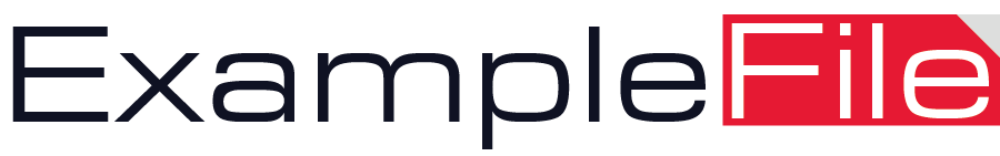 What is .PHP, What PHP Stand For ?- ExampleFile - Example File