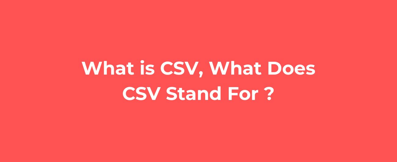 What is CSV, What Does CSV Stand For ?